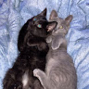 Meet your Posher, Vanessa stanka